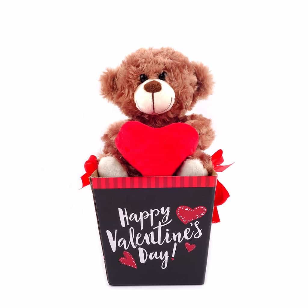 Way to Celebrate Valentine’s Day Plush Teddy Bear